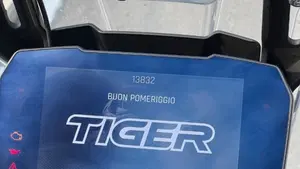 Triumph Tiger 900 GT (2020 - 23)  (6)