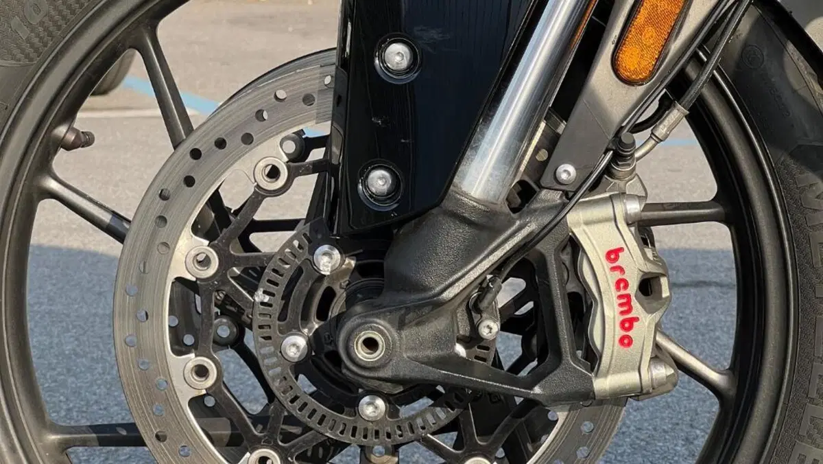 Triumph Tiger 900 GT (2020 - 23)  (8)