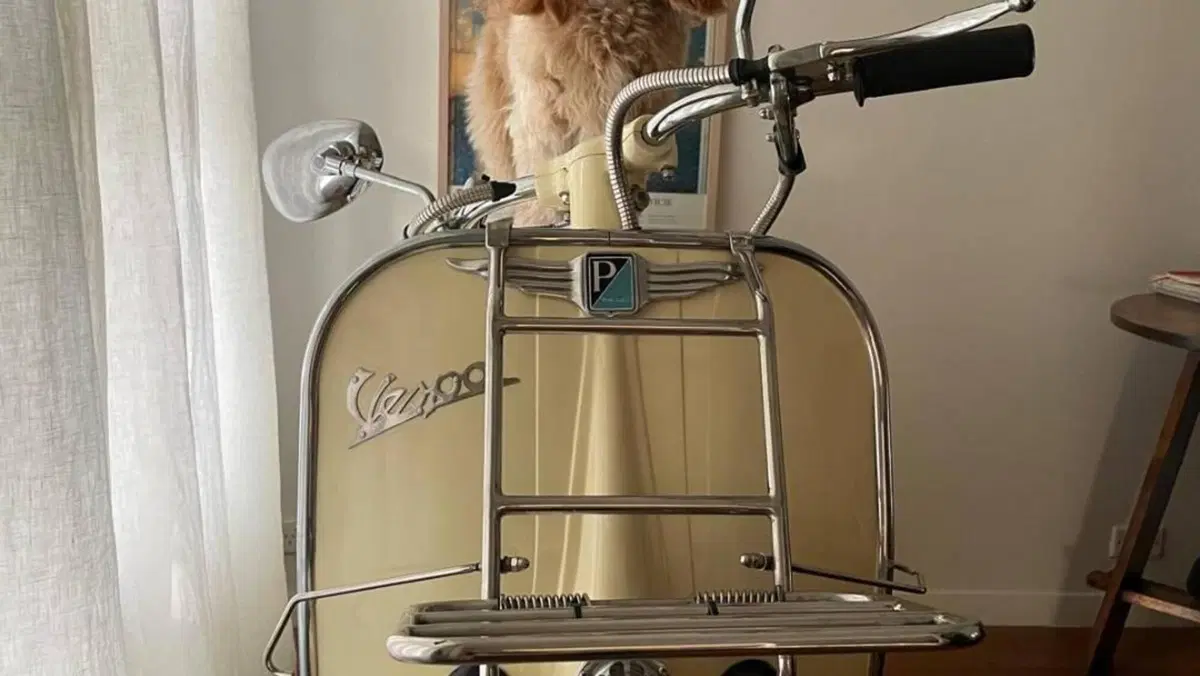 Vespa   (2)