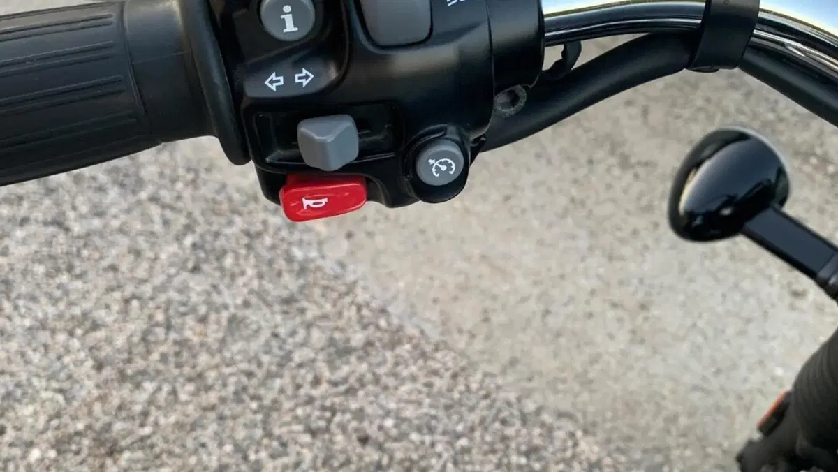Triumph Bonneville Speedmaster 1200 (2018 - 20)  (2)