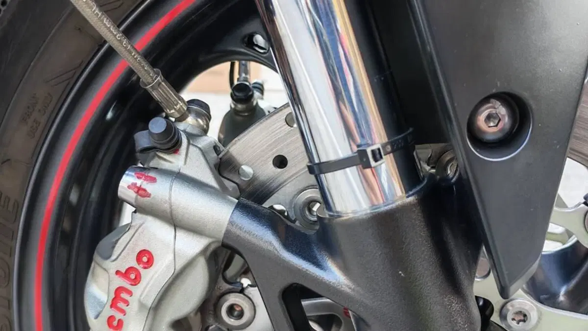 Triumph Street Triple RS (2020 - 22)  (11)