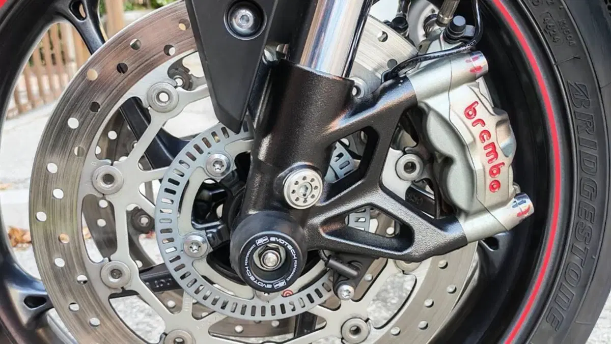 Triumph Street Triple RS (2020 - 22)  (12)