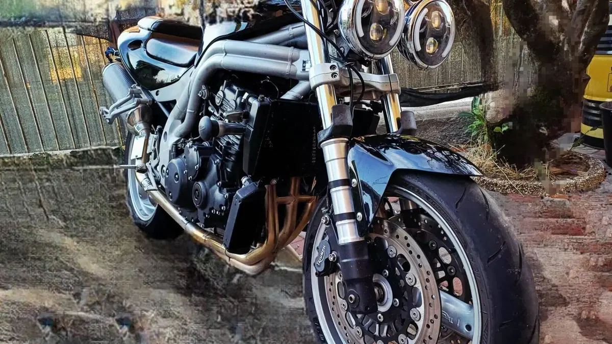 Triumph Speed Triple 955 (2002 - 04) 