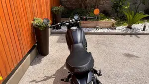 Ducati Scrambler 800 Icon Dark (2021 - 22)  (5)