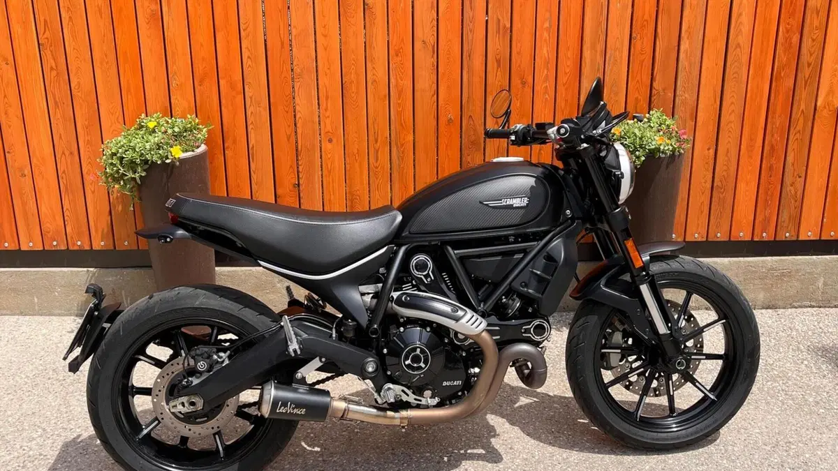 Ducati Scrambler 800 Icon Dark (2021 - 22)  (6)