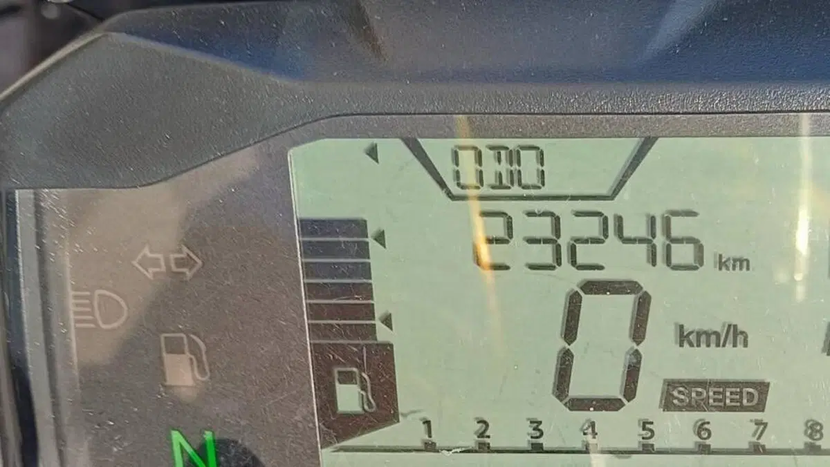 Bmw G 310 R (2016 - 20)  (5)