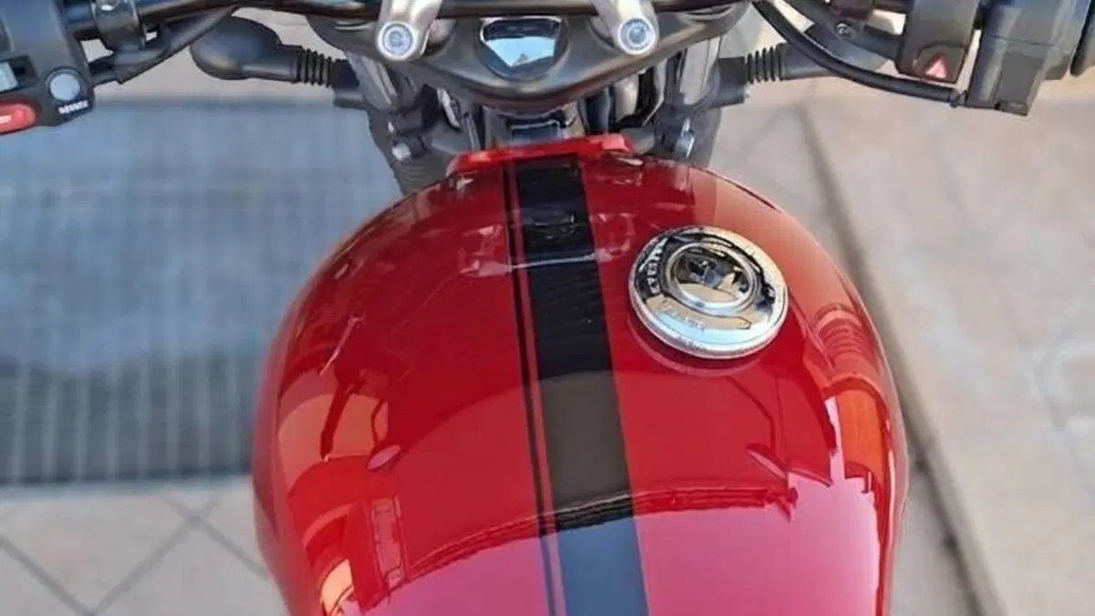 Triumph Speed Twin 900 Chrome Edition (2023)  (3)