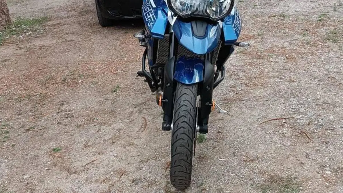 Triumph Tiger 800 XRx (2018 - 20)  (2)