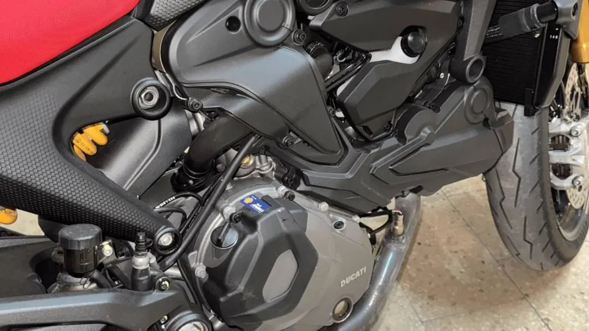 Ducati Monster 937 SP (2023 - 25)  (6)
