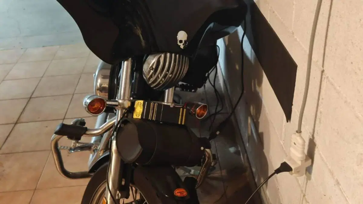 Harley-Davidson 883 Low (2008 - 12) - XL 883L  (2)