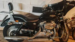 Harley-Davidson 883 Low (2008 - 12) - XL 883L  (3)