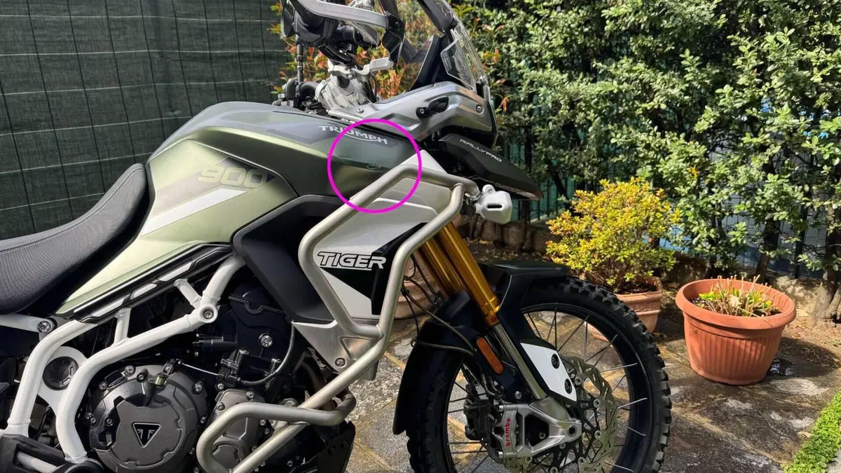 Triumph Tiger 900 Rally Pro (2020 - 23)  (2)