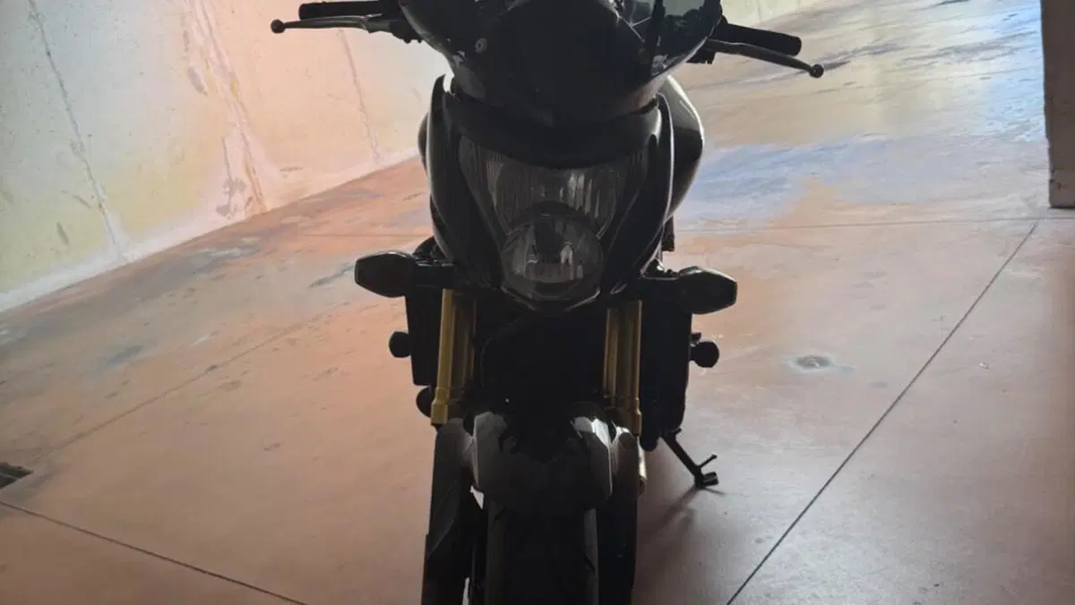 Honda Hornet 600 (2007 - 10)  (4)