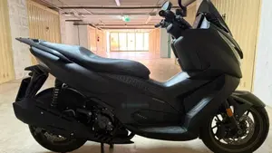 Zontes ZT350-D (2023 - 25)  (5)