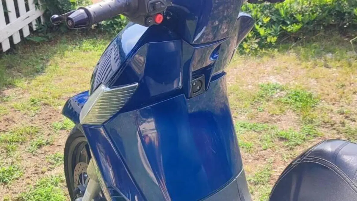 Aprilia Scarabeo 300 Special (2009 - 13)  (2)