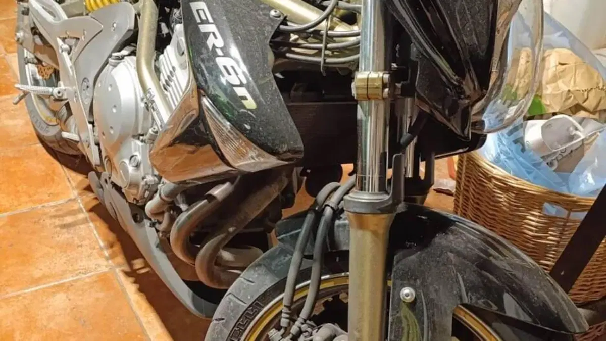 Kawasaki ER-6N (2005 - 08)  (2)