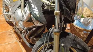Kawasaki ER-6N (2005 - 08)  (2)