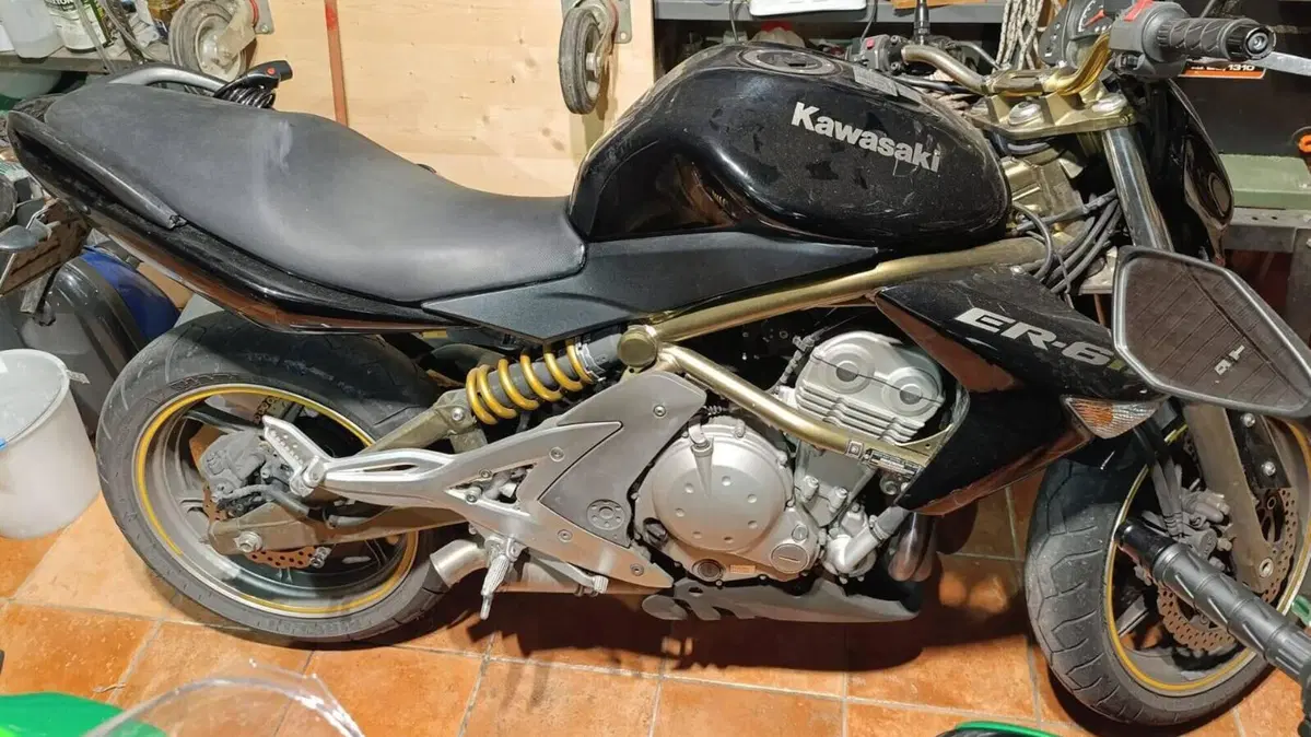 Kawasaki ER-6N (2005 - 08)  (3)