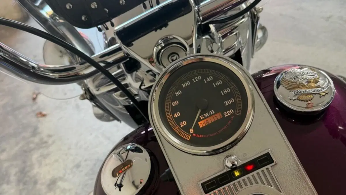Harley-Davidson 1340 Road King (1995 - 98) - FLHR  (8)