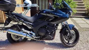 Yamaha TDM 900 (2002 - 14)  (4)