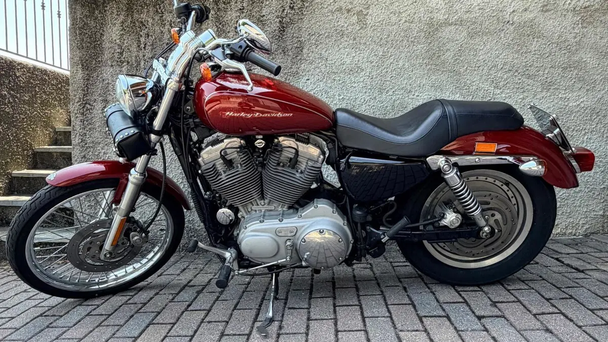 Harley-Davidson 883 Custom (2001 - 05) - XL 53C  (2)