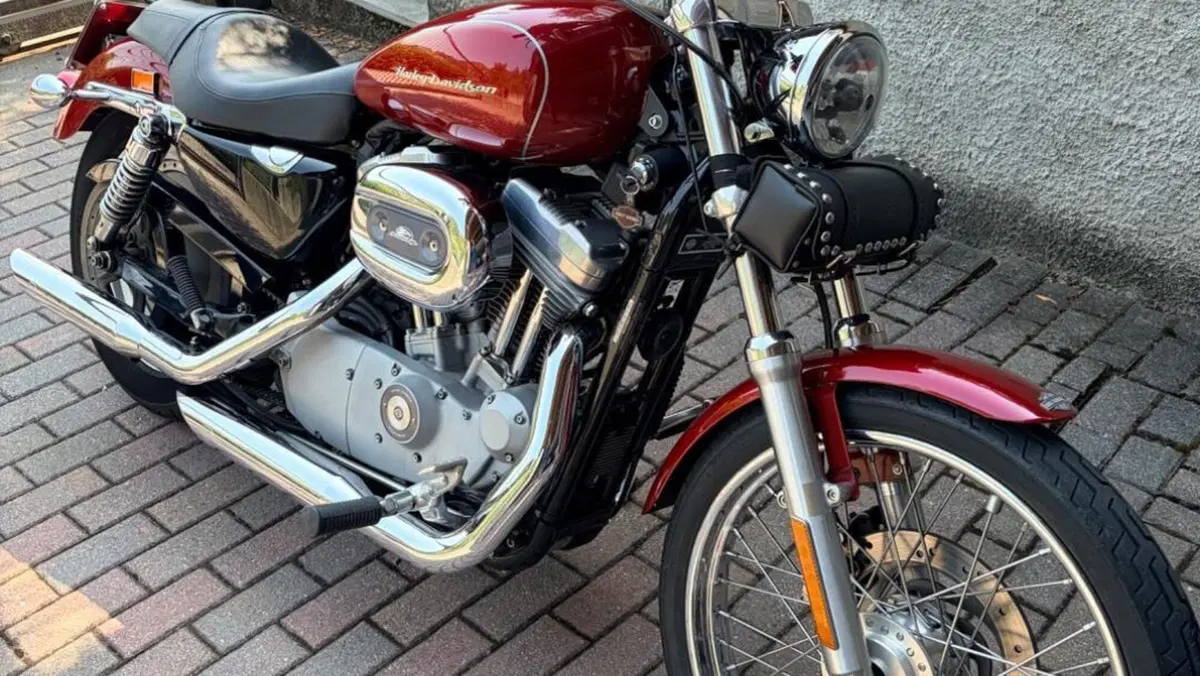 Harley-Davidson 883 Custom (2001 - 05) - XL 53C  (3)
