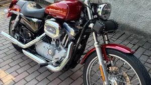 Harley-Davidson 883 Custom (2001 - 05) - XL 53C  (3)