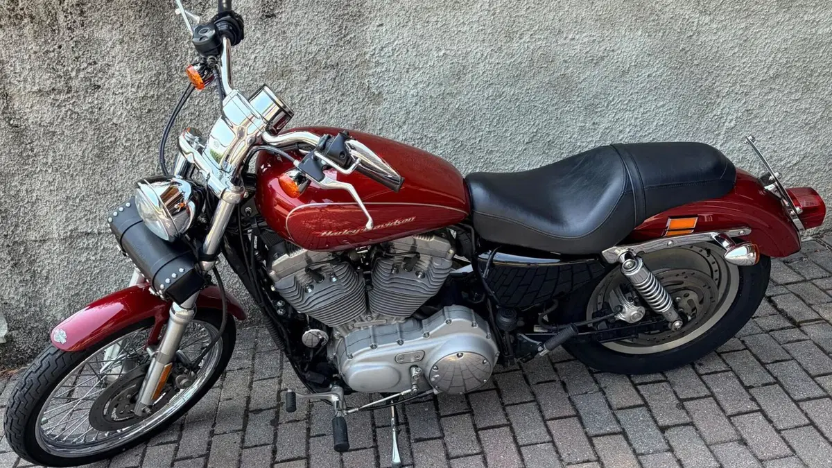 Harley-Davidson 883 Custom (2001 - 05) - XL 53C  (6)