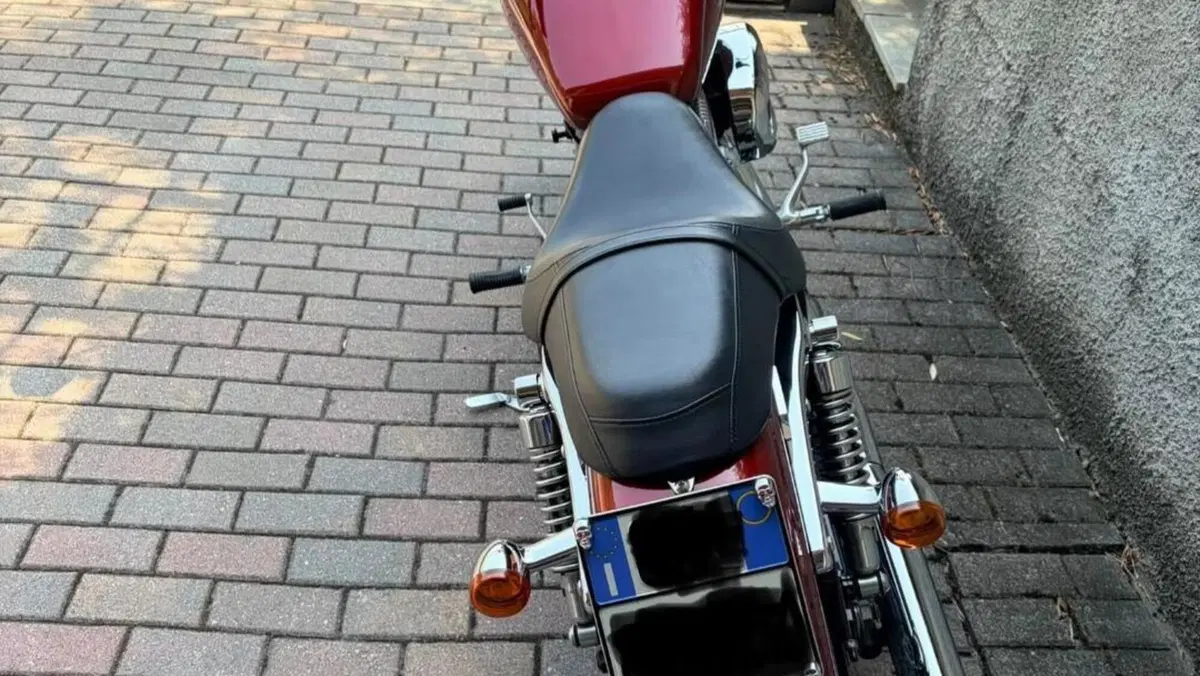 Harley-Davidson 883 Custom (2001 - 05) - XL 53C  (7)