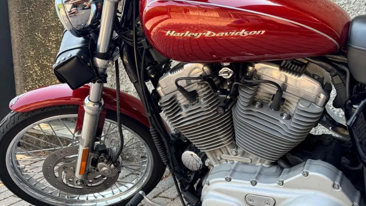 Harley-Davidson 883 Custom (2001 - 05) - XL 53C  (8)