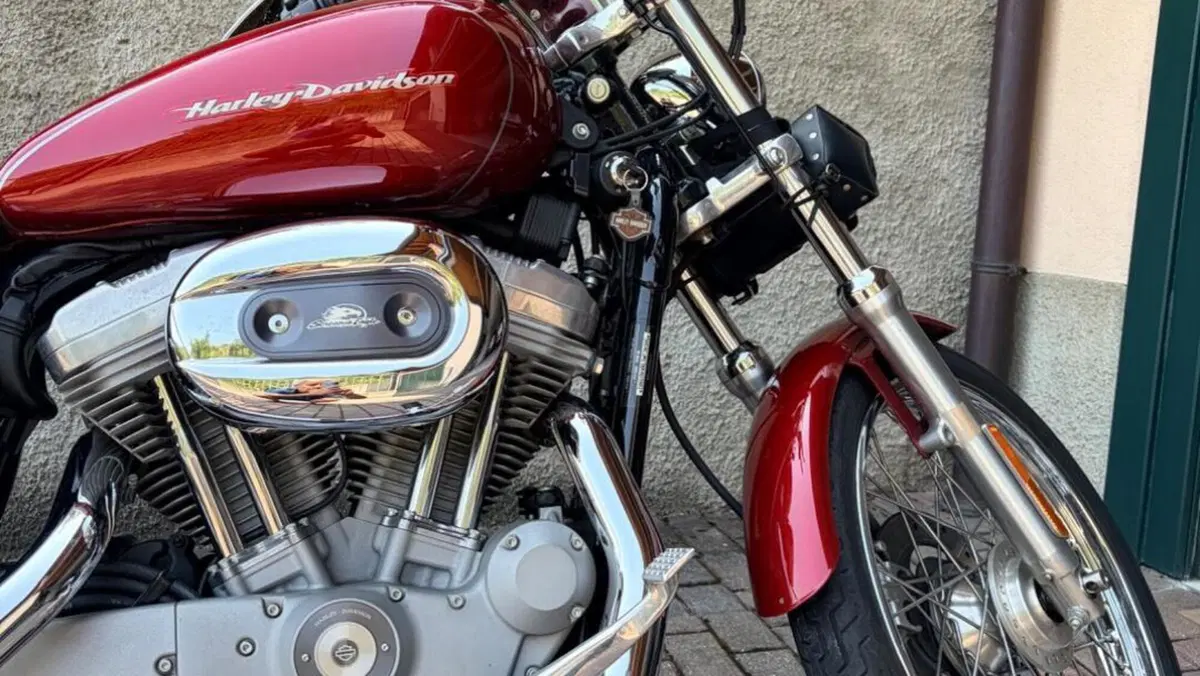 Harley-Davidson 883 Custom (2001 - 05) - XL 53C  (9)