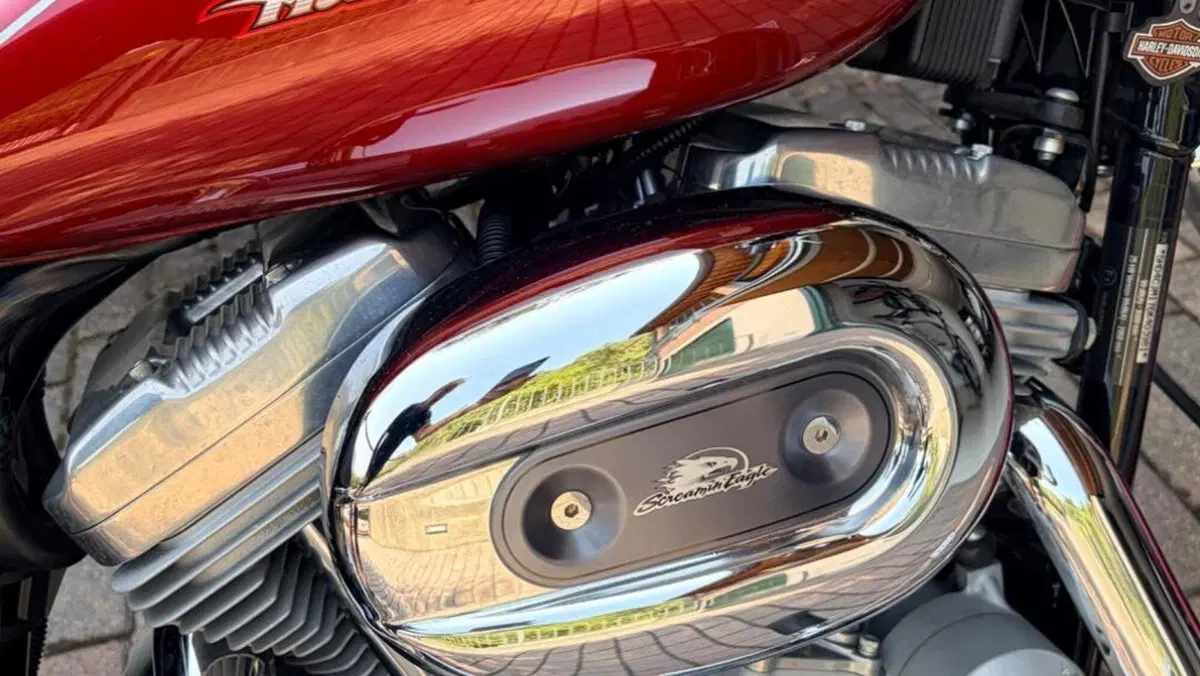 Harley-Davidson 883 Custom (2001 - 05) - XL 53C  (10)