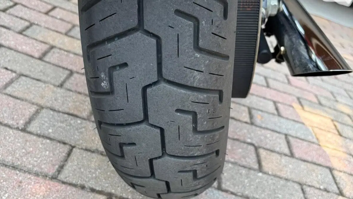Harley-Davidson 883 Custom (2001 - 05) - XL 53C  (14)