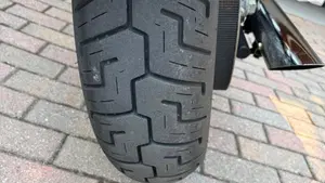 Harley-Davidson 883 Custom (2001 - 05) - XL 53C  (14)