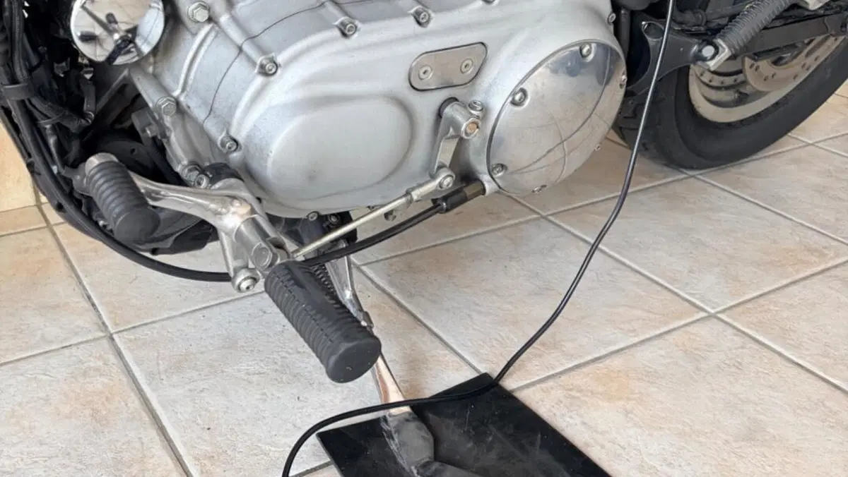 Harley-Davidson 883 Custom (2001 - 05) - XL 53C  (15)
