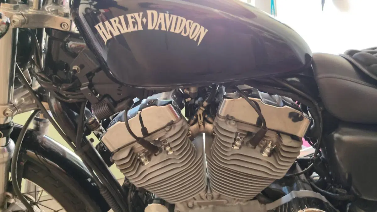 Harley-Davidson 883 Custom (2006 - 07) - XL 883C  (3)