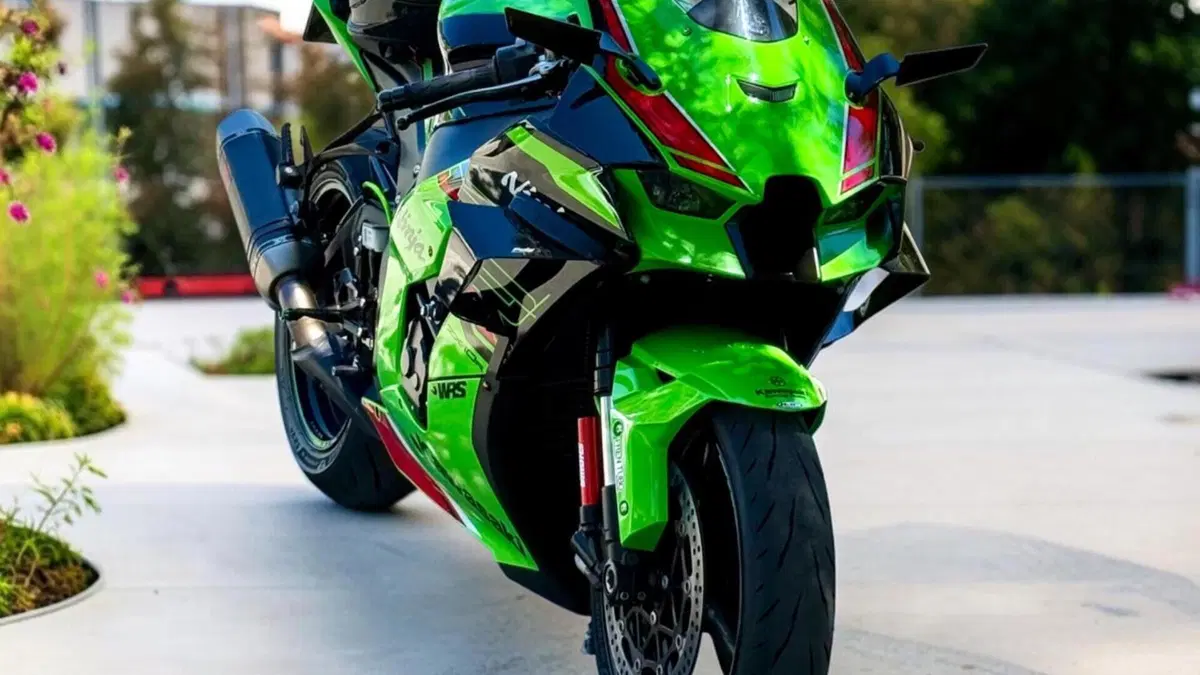 Kawasaki Ninja 1000 ZX-10R Performance (2021 - 24)  (3)