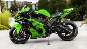 Kawasaki Ninja 1000 ZX-10R Performance (2021 - 24)  (4)