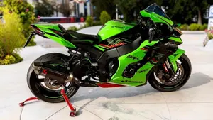 Kawasaki Ninja 1000 ZX-10R Performance (2021 - 24)  (5)