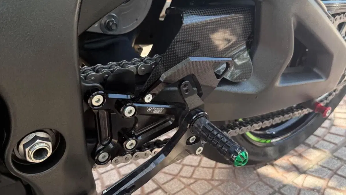 Kawasaki Ninja 1000 ZX-10R Performance (2021 - 24)  (9)