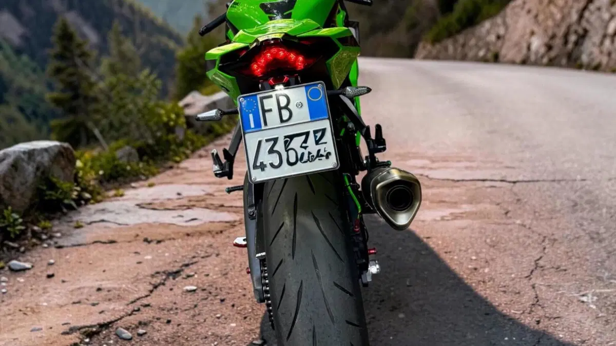 Kawasaki Ninja 1000 ZX-10R Performance (2021 - 24)  (10)