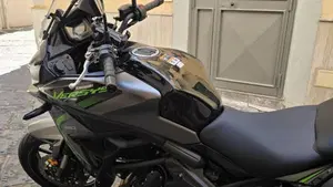 Kawasaki Versys 650 (2025 - 26)  (3)