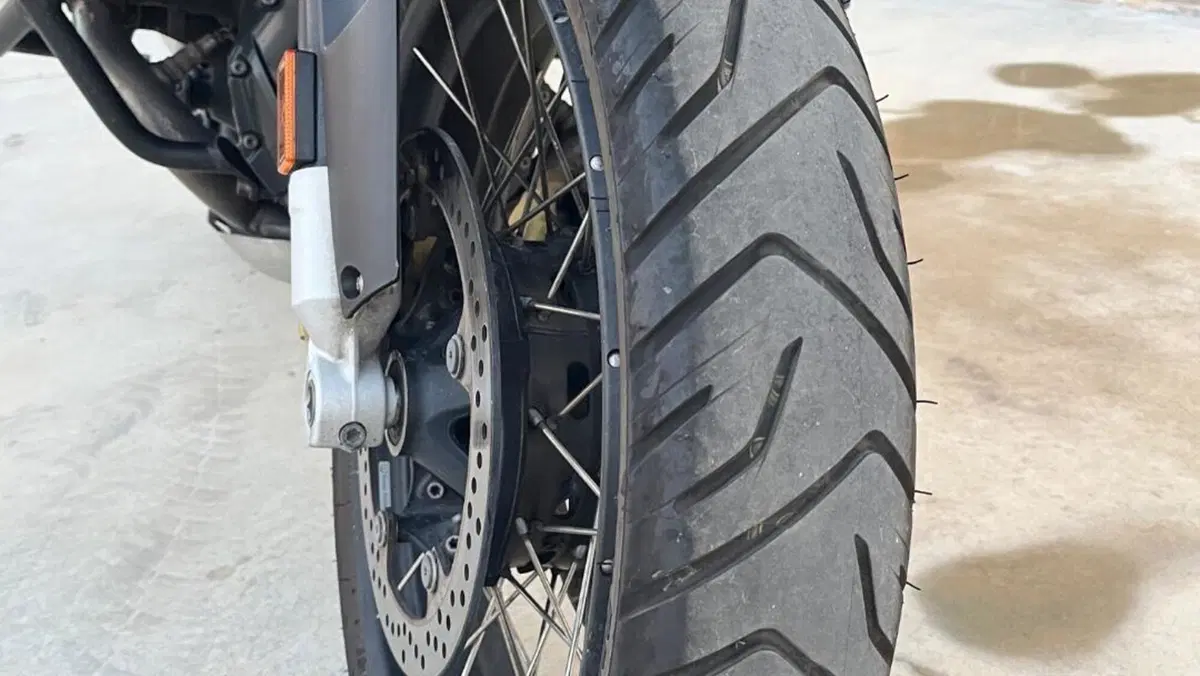Bmw R 1250 GS (2019 - 20)  (9)