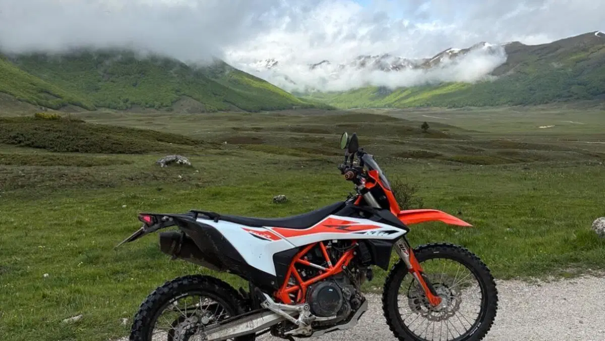 KTM 690 Enduro R (2019 - 20)  (4)