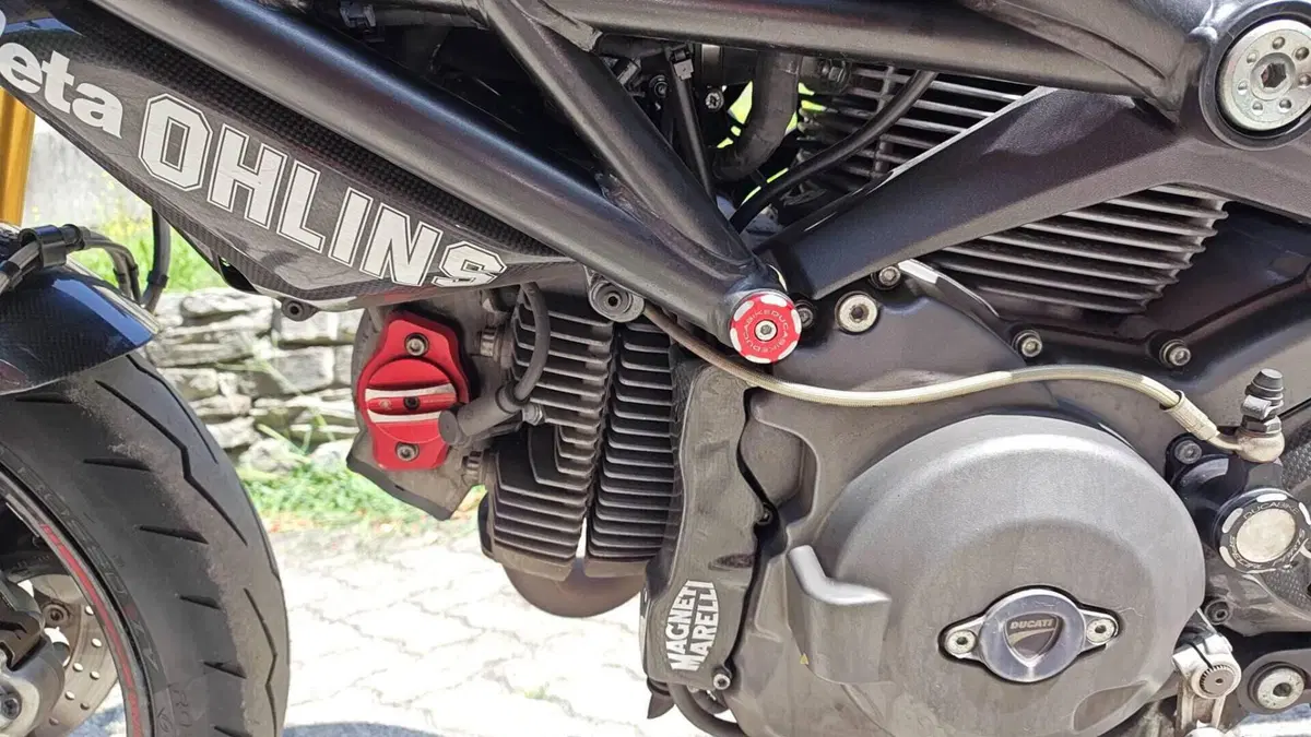 Ducati Monster 696 ABS (2009 - 14)  (9)