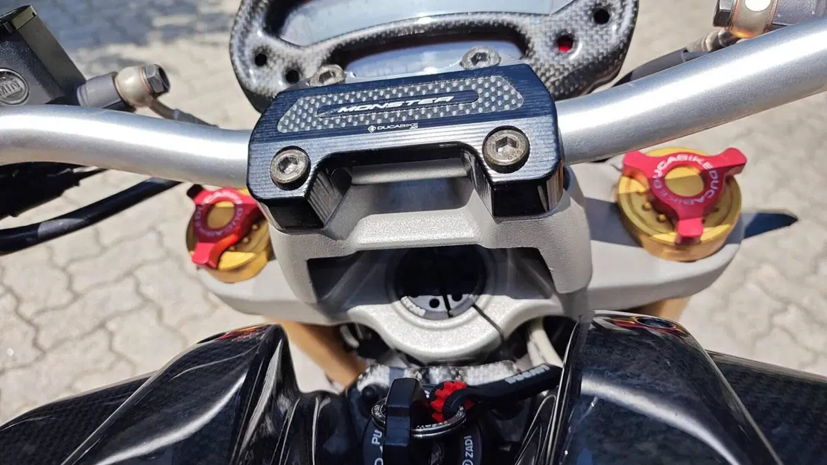 Ducati Monster 696 ABS (2009 - 14)  (17)