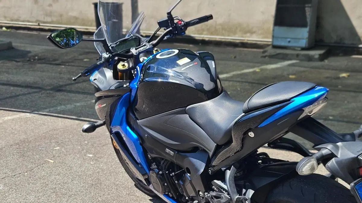 Suzuki GSX S 1000 F ABS (2017 - 20)  (4)
