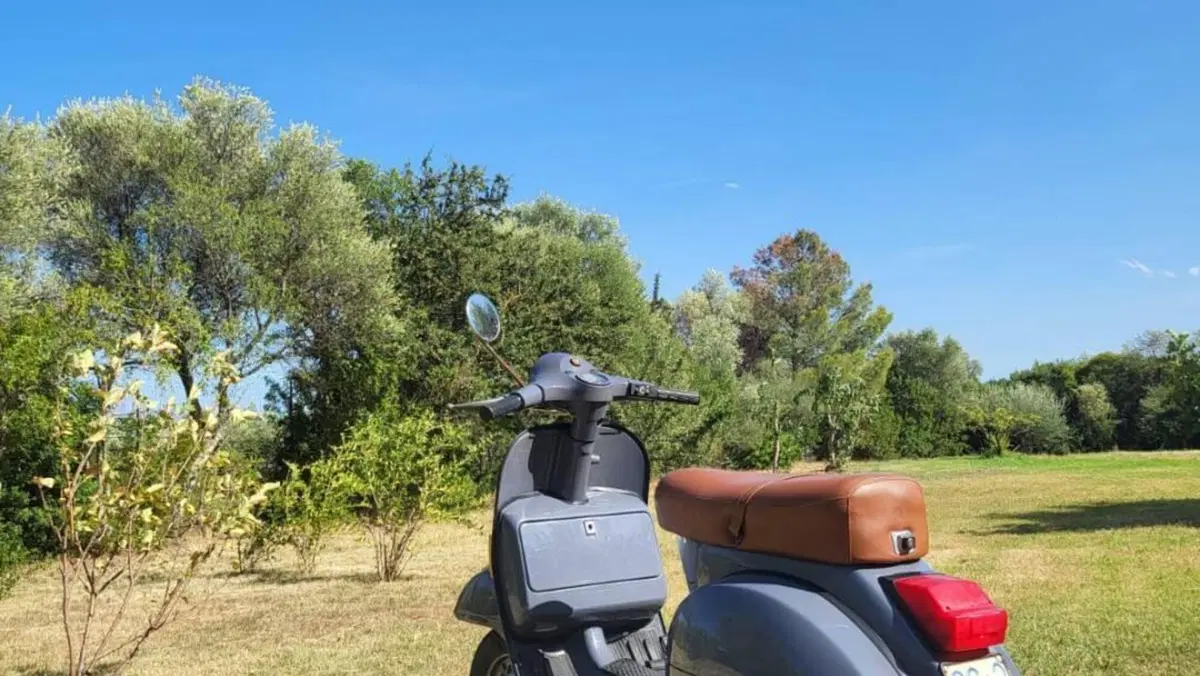 Vespa   (5)
