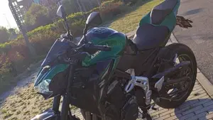 Kawasaki Z 900 A2 (2019)  (9)