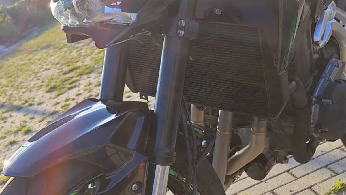 Kawasaki Z 900 A2 (2019)  (12)